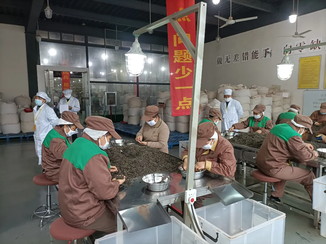 精益求精·鑄造品質(zhì)|六大茶山第十四屆技術(shù)大比武圓滿完成