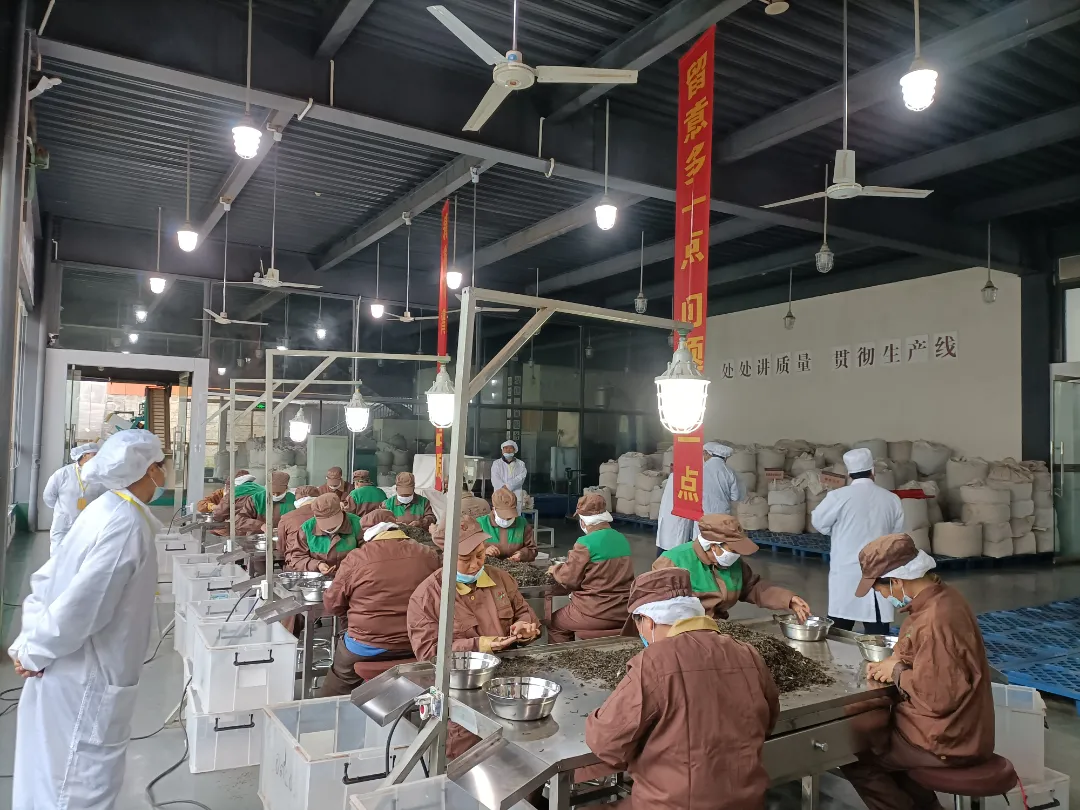 精益求精·鑄造品質(zhì)|六大茶山第十四屆技術(shù)大比武圓滿完成