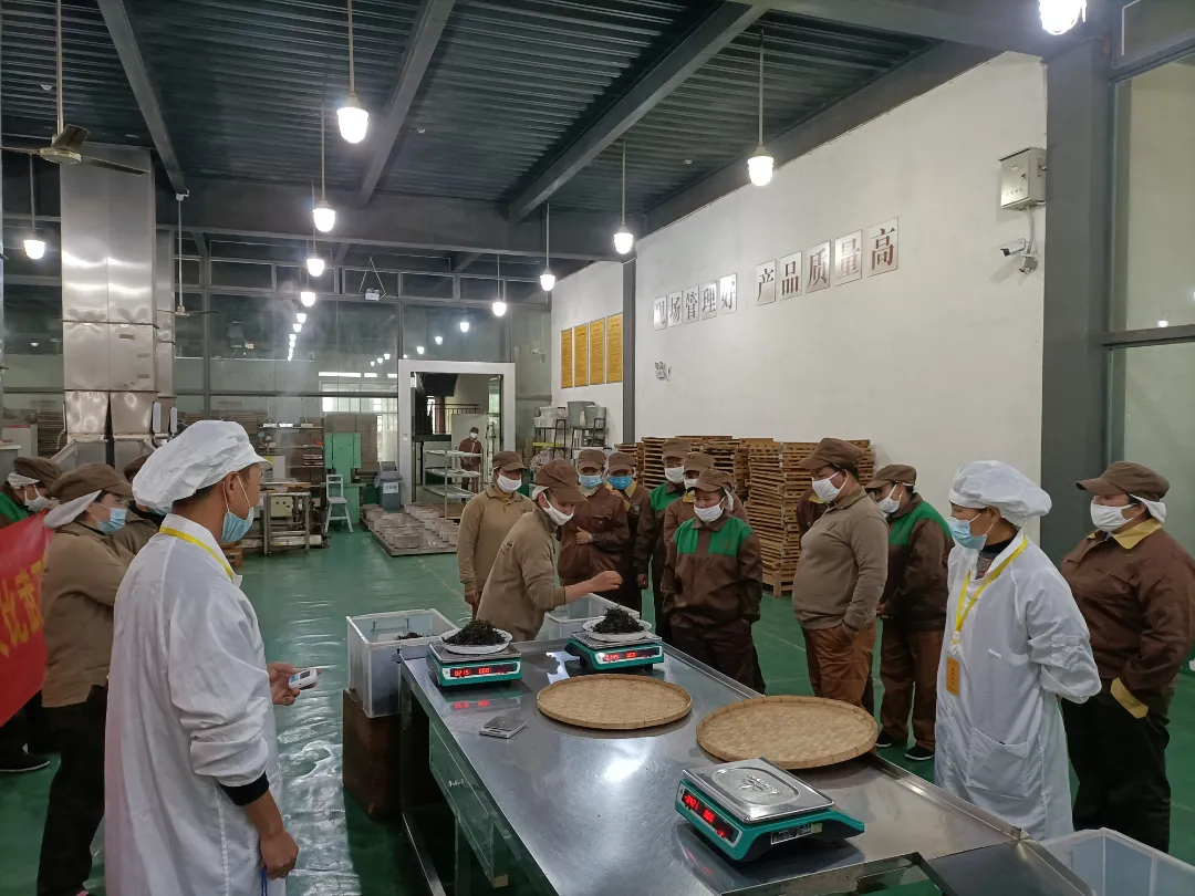 精益求精·鑄造品質(zhì)|六大茶山第十四屆技術(shù)大比武圓滿完成