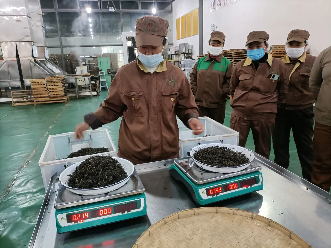 精益求精·鑄造品質(zhì)|六大茶山第十四屆技術(shù)大比武圓滿完成