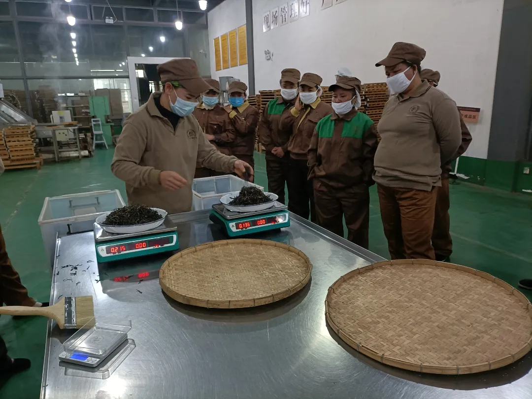 精益求精·鑄造品質(zhì)|六大茶山第十四屆技術(shù)大比武圓滿完成