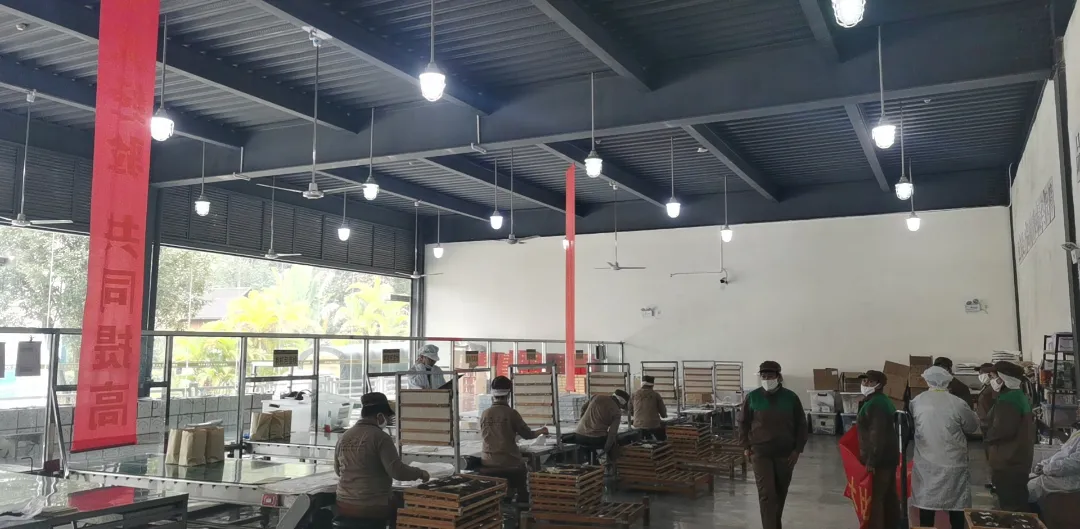 精益求精·鑄造品質(zhì)|六大茶山第十四屆技術(shù)大比武圓滿完成