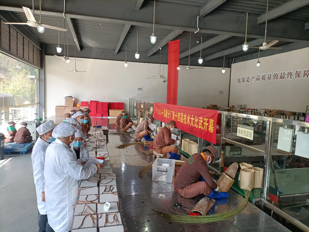 精益求精·鑄造品質(zhì)|六大茶山第十四屆技術(shù)大比武圓滿完成