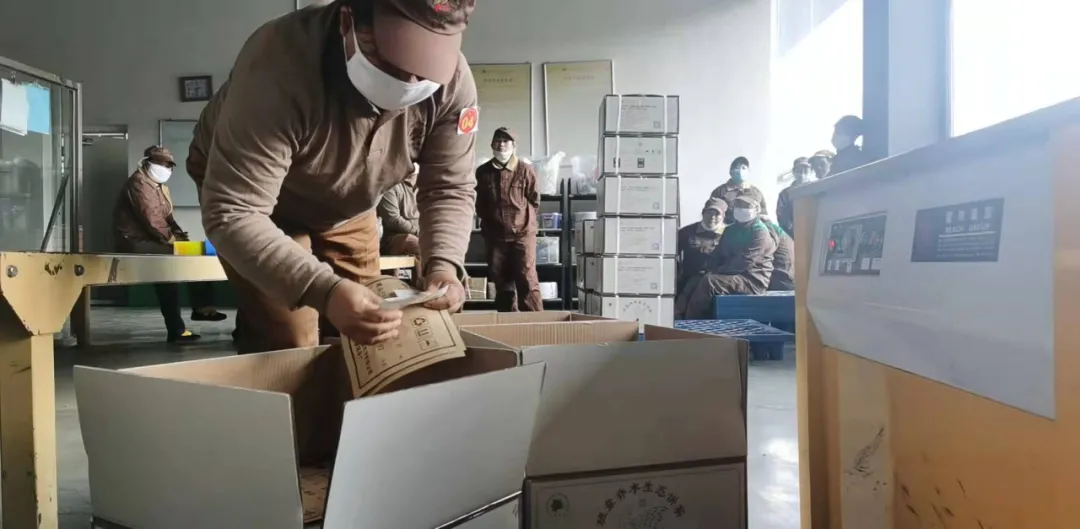 精益求精·鑄造品質(zhì)|六大茶山第十四屆技術(shù)大比武圓滿完成