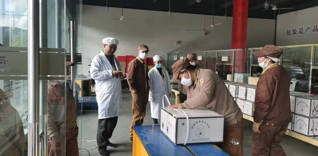 精益求精·鑄造品質(zhì)|六大茶山第十四屆技術(shù)大比武圓滿完成