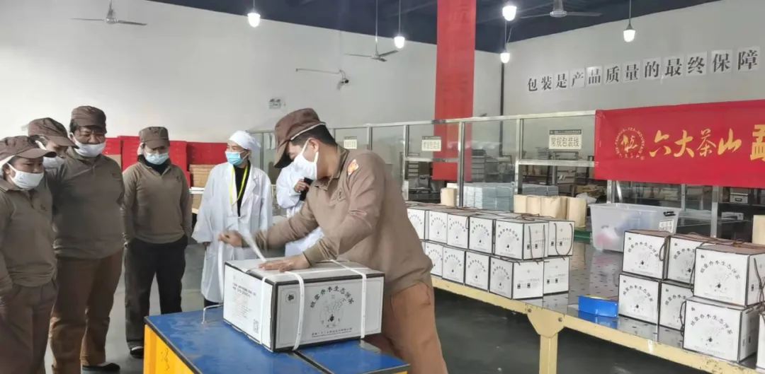 精益求精·鑄造品質(zhì)|六大茶山第十四屆技術(shù)大比武圓滿完成