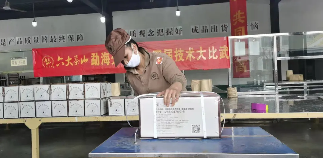 精益求精·鑄造品質(zhì)|六大茶山第十四屆技術(shù)大比武圓滿完成